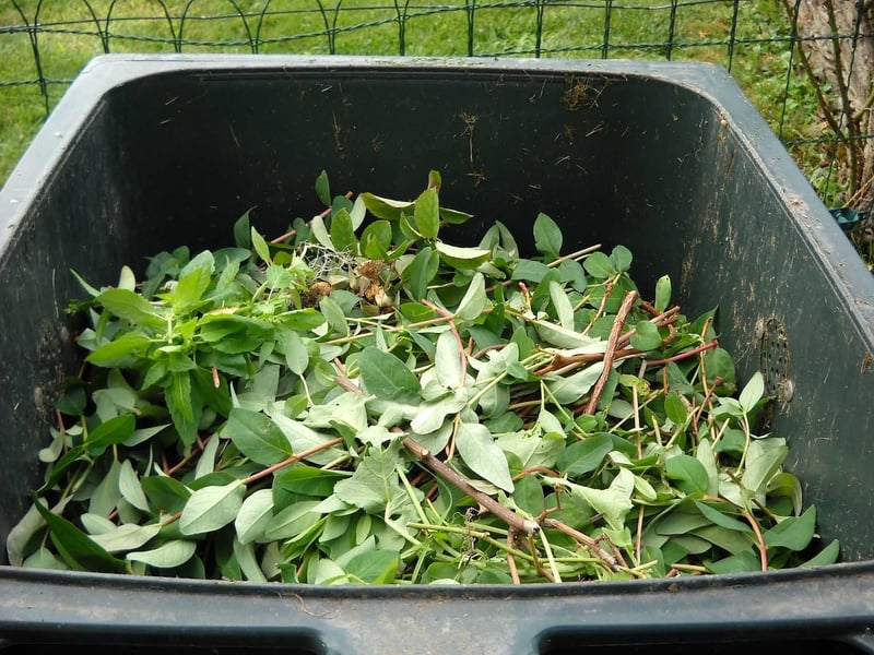 Compost Bin